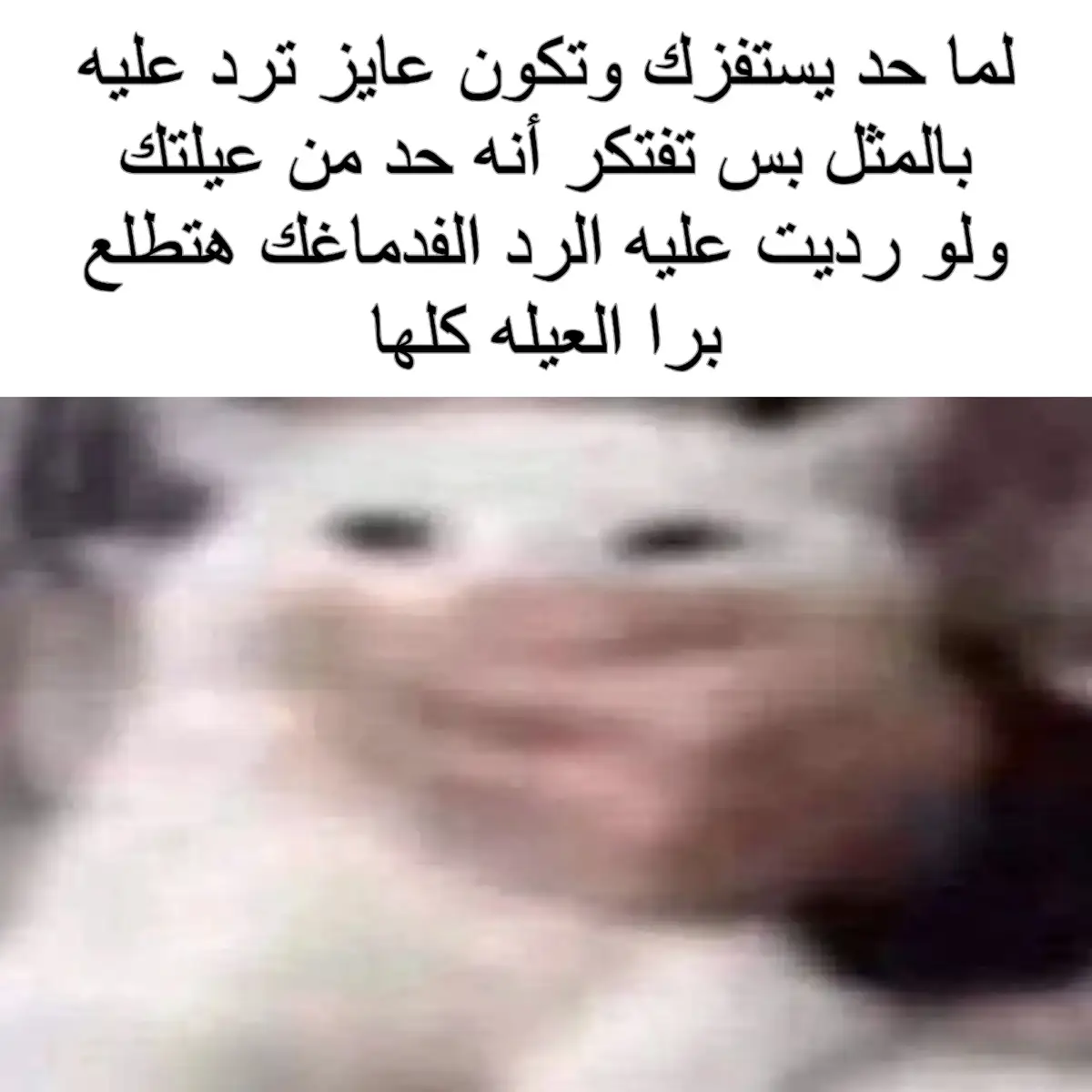#اهل #tiktok #fyp #اهلي 