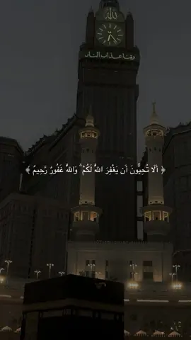 ‏اللهّم أرحم من أنقطع عمله وأجمعنا بهم في جنة الفردوس.  #قران #quran #القارئ_ماهر_المعيقلي #صدقه_جاريه #لموتانا_وموتى_المسلمين 
