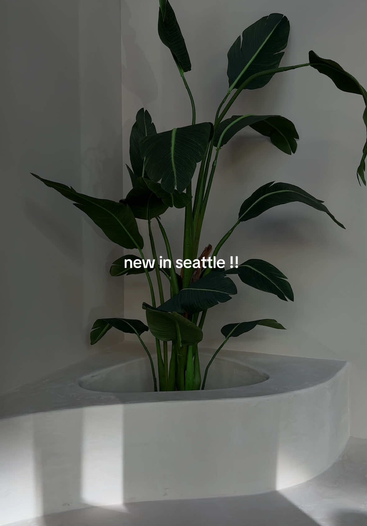 📍 matcha magic now has a new location in capitol hill 🍵🫐🍞🍌 their grand opening is this saturday 10/11!! see you there! @Matcha Magic  #comingtoseattle #newinseattle #matchamagic #fyp #seattle #seattletiktok #foryou #minivlog #Vlog #dailyvlogs #newtoseattle #seattlewashington #lifeinseattle #matcha #matchalatte #matchalover #smoothiesinseattle  