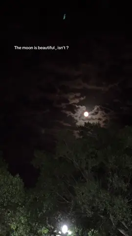 🤍🌠#fyp #sky #moon #themoonisbeautifulisntit  #night 