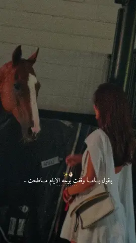 ياما وقفت بوجه الايام ماطحت.👌🏻🤍✨#راشديةمطنوخة #خيل_وخياله🐎 #capcut #foryou #viralvide 