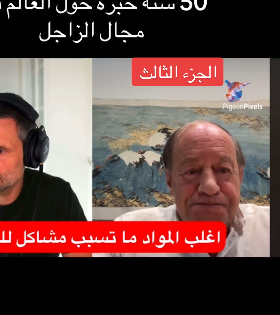 هل علاج السالمونيلا فترة تبديل الريش يأثر على الريش مع الدكتور Henk de Weerd #زاجل #زاجل_سباق #زاجل_بلجيكي #لوفت_النخبة #حمام_زاجل 
