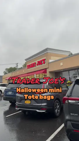Trader Joe’s Halloween tote bags 🎃 🐈‍⬛ #fyp #fashion #traderjoes 