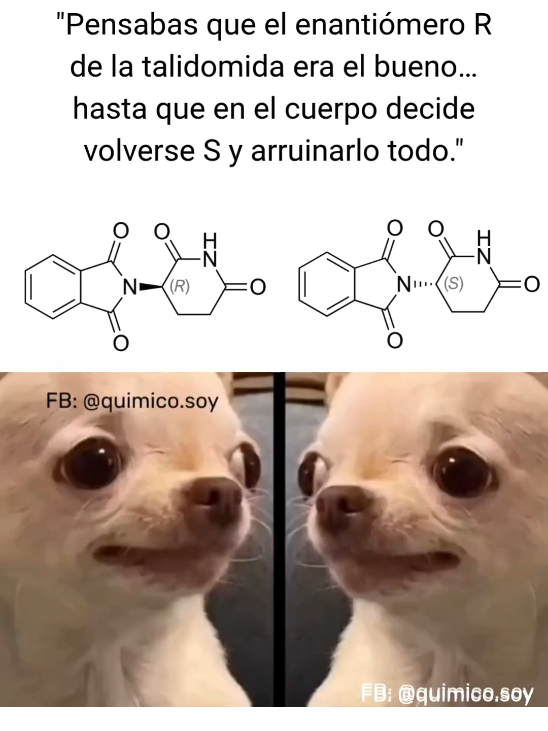 La talidomida #quimica #quimicaorganica #quimico #biologia #espectro #espectroscopia