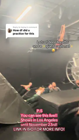 Replying to @taytay 🤣 Live, love, ✨crash mat✨  @Diavolo Architecture in Motion You can come see this live too!!! Shows every Friday-Sunday in LA! Link in bio for more info :) 