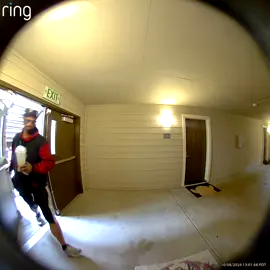 Stealing packages is crazy work. I hope they like my hair serum I highly recommend it lol #ringdoorbell #packagethief 