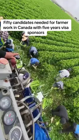 JOB OPPORTUNITIES 🚨‼️🔔 We are more than happy to assist you in obtaining your work permit visa for Canada. Please feel free to reach out to us via phone call or WhatsApp to obtain the job application form. Rest assured, we are completely genuine and dedicated to fulfilling your wishes. Your satisfaction is our top priority!#immigration #canadaworkvisa #immigrationcanada2025 #creatorsearchinsights2025 #fyppppppppppppppppppppppp 