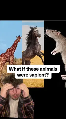 if humans evolved from other animals… but SCIENCE! #art #Science #evolution #TikTokLearningCampaign 