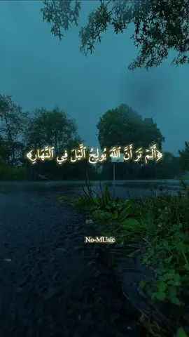 #اسلام_صبحي 🥀