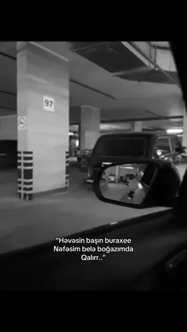 #userzynlv 