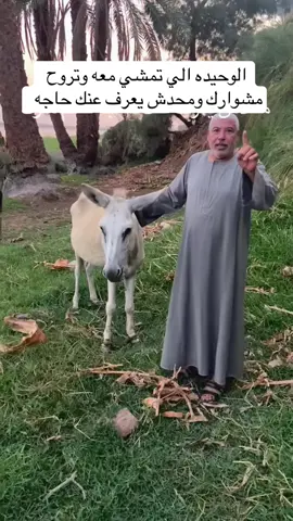 #اكسبلور #اكسبلور محمود الصعيدي #في هذا اليوم 