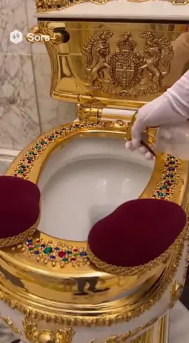 Cleaning the kings toilet #ai #asmr 
