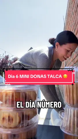 Día 6 intentando hacer viral mi emprendimiento 😅🍩 ¿Será que hoy sí lo logramos? #minidonas #talca #tiktokchile #fyp #viral 