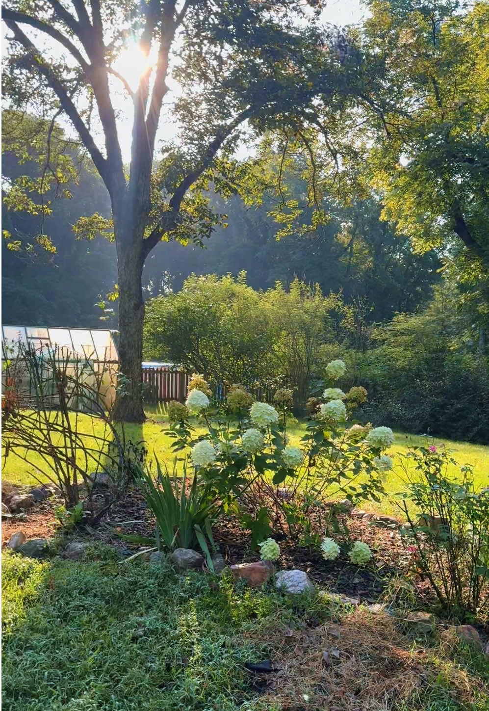 If you buy a big pile of rocks on a homestead…  #momlife #farmlife #farmtok #flowerfarm #Lifestyle 