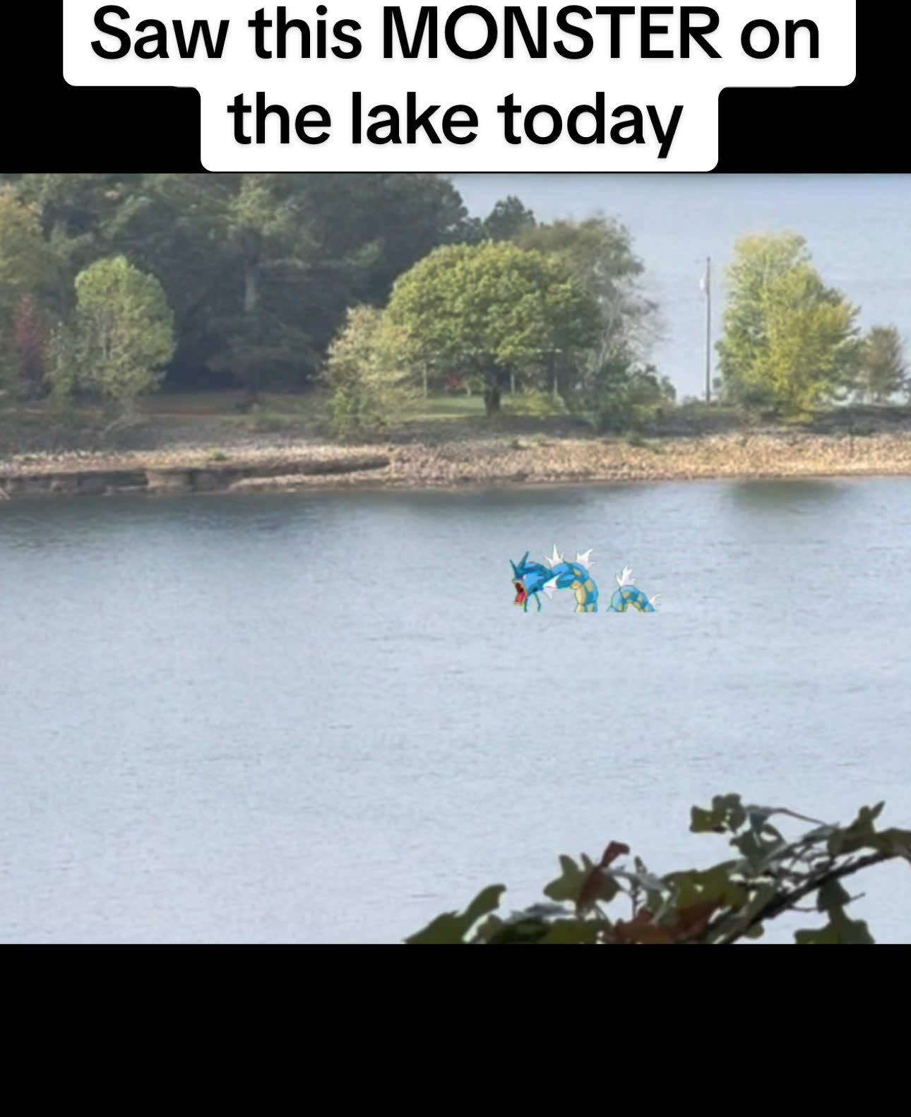 I was out maintaining trails and happened to glimpse this out on the lake today. #pokemon #pokemoncommunity #pokemonmemes 