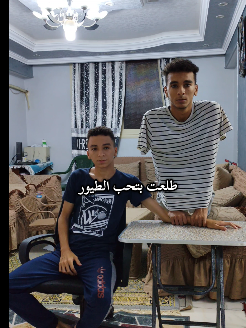 #fyp #trending #crash #طيور #ترند_الطيور @𝓜𝓔𝓖𝓞   🇵🇸 
