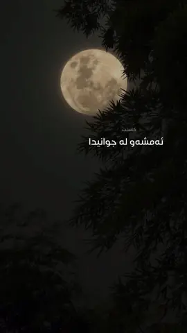 تۆ لە مانگیش جوانتریت من هەڵەم کرد🌚🖤🌊