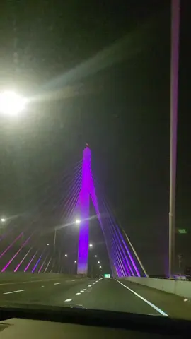 so much sweat, dedication, and joy went into this series 💪🏽 thank you for following along 🥹🌈🫶🏻next stop: full marathon!!  stay tuned, friends ✨️ #Running #longbeachmarathon #2xu #halfmarathon 