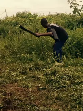 @𝙒𝙖𝙡𝙡𝙮👳🏽‍♀️🤎 #Biscoitocut #CapCut 