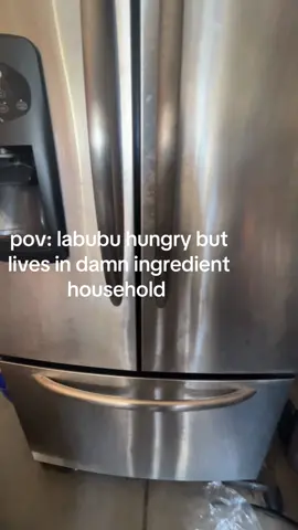 #labubuhouse 