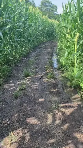 #onthisday #kiktok #fipシfipシforyou 