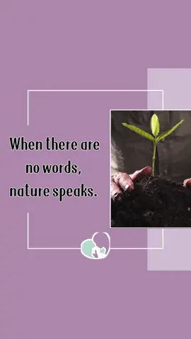 Let yourself be held by something steady: the trees, the breeze, the sound of rain. What part of nature comforts you the most?