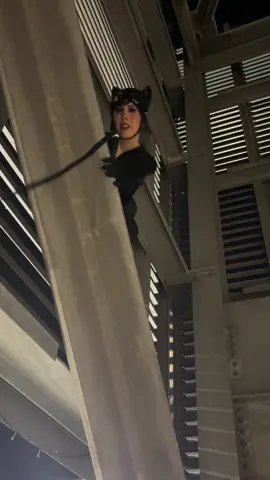 I spy a kitty cat 🐈‍⬛ @DC #catwoman #catwomancosplay #dc #dccosplay #dccomics 