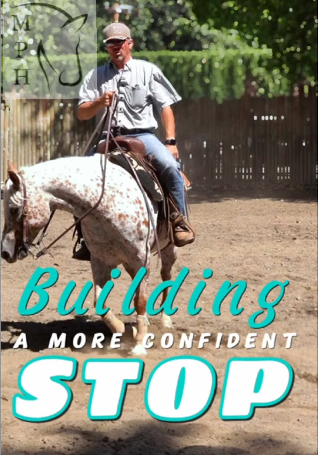 Building a Confident Stop | Riding a Young Horse or Pony  #ponies #horsetraining #fyp the #stop #horsetrainer 