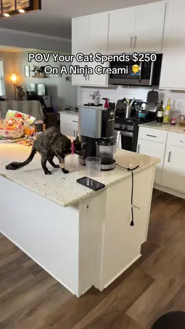 she thinks we're made of money #ninjacreami #icecream #kitchen #protein #Fitness 