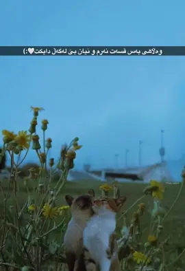 #parwardgar2 #zeda 