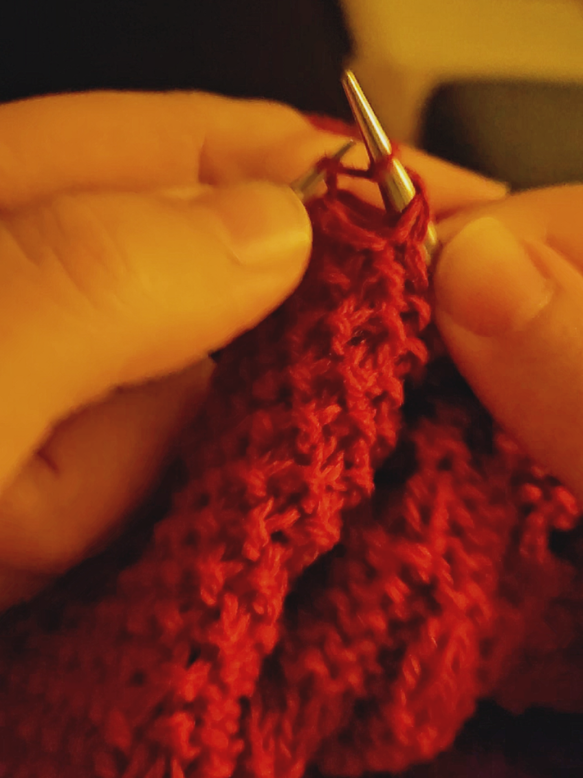 POV you are working on a dog sweater in fingering weight yarn, while working basket weave pattern and seed stitch. #knittok #knittersoftiktok #knitting #knittersofinstagram #wipwednesday 