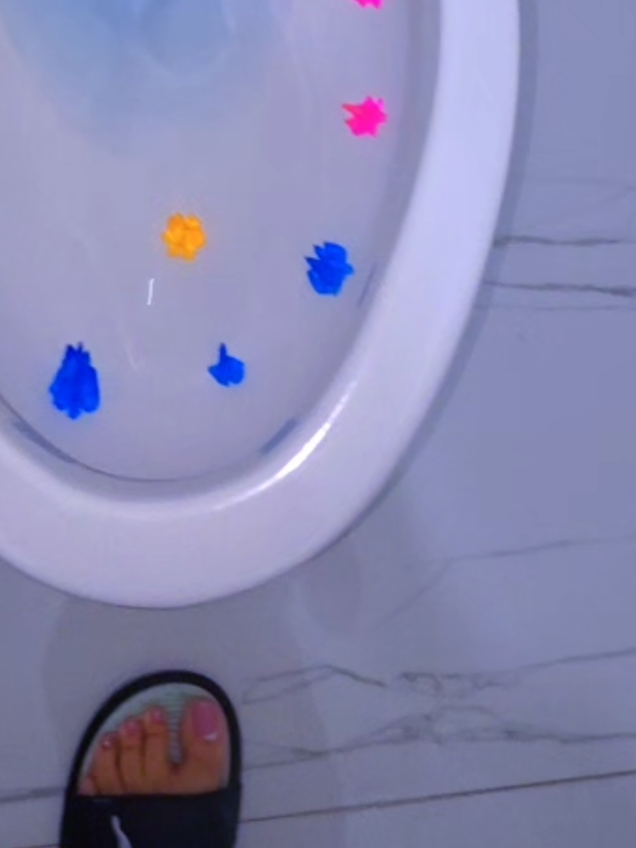 #cleaning #toilet #limpiandoconlaguajira estas bellas flores no previenen la mancha pero se ven Linda's y el bano huele rico 