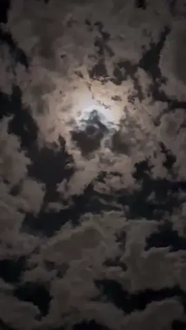 #افراح_قبيلة_الرياشات_البعابره  #تصويري_احترافي_الاجواء👌🏻🕊😴 #جبراتت📮١6#بدوانك_سعدهم_قايم🔥💪 #رياشات702_ولنا_في_قمة_المجد_رايات👑🇪🇬🦅 