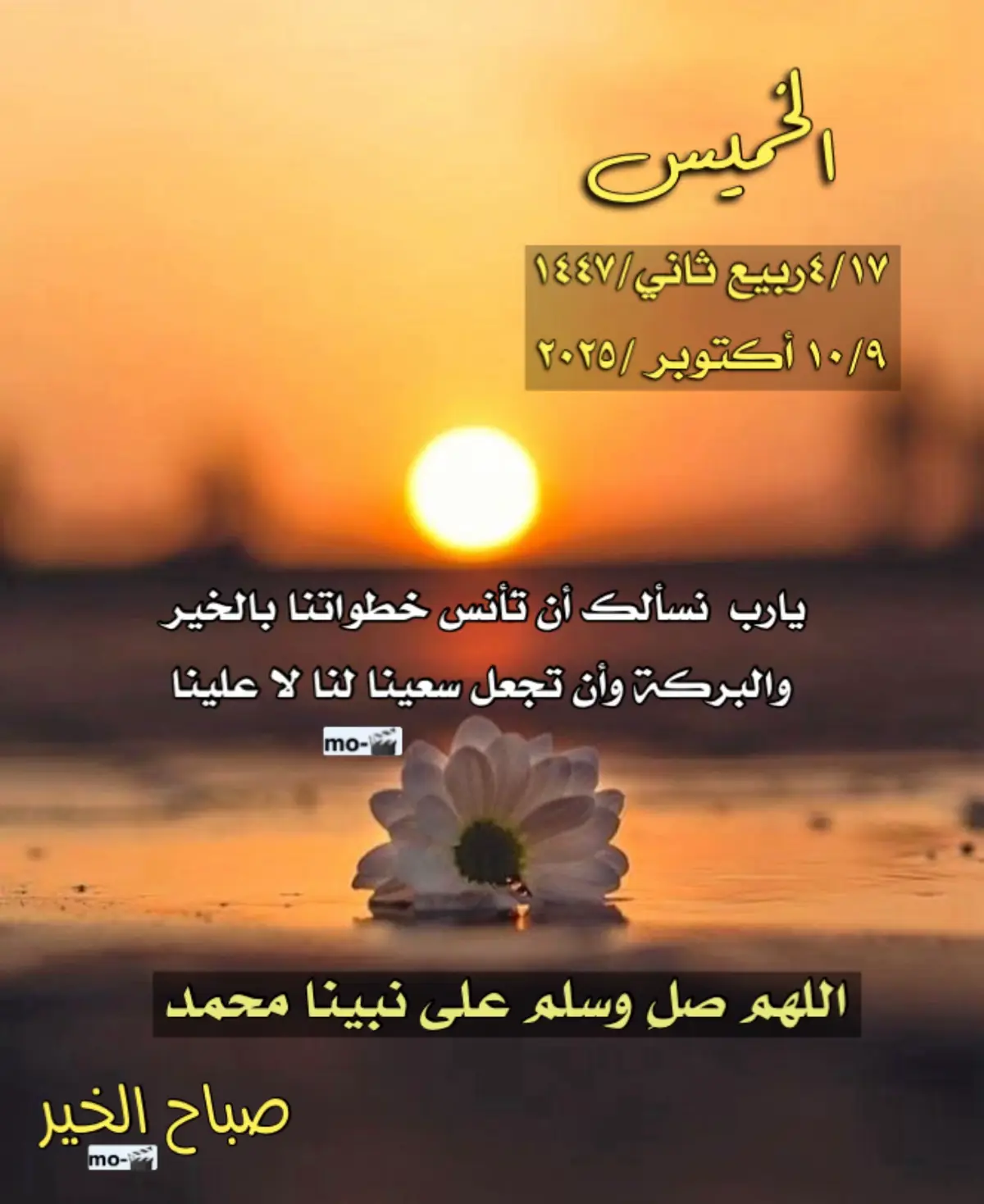 #ترند #قران_كريم #أكسبلور #صباح_الخير #طبرجل_القريات_تبوك #هشتاقاتي_الترند_المشهور #ترندات_تيك_توك #الجوف_طبرجل_القريات 