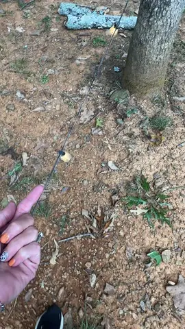 #outdoorlights #backyardlights 