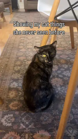 A history lesson with Kirby 😏 