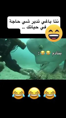 #😄😄😄😄😄😃😃⚡💫💫⚡⚡😃⚡ 