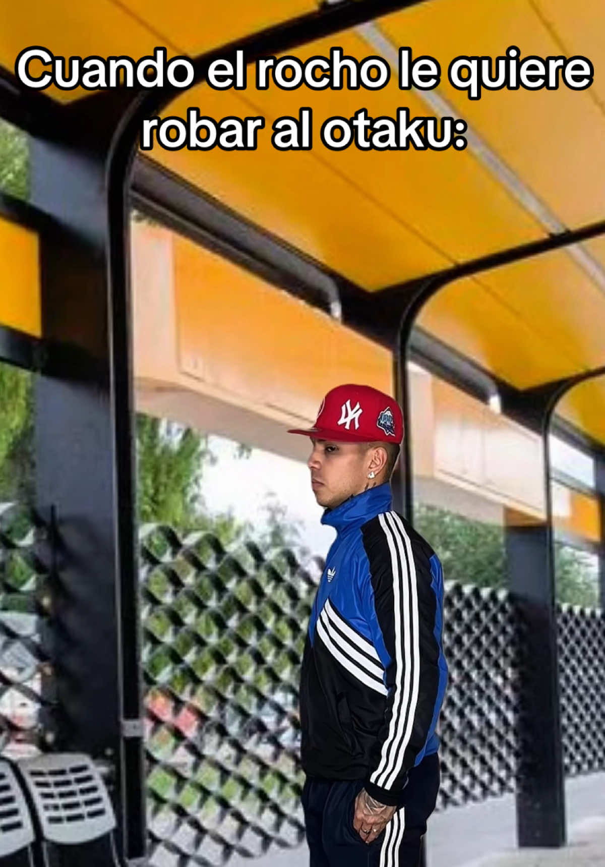 Me parece que le aprieta el uniforme de escuela al otaku