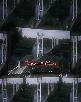 ديرالزور 🖤🐅. 