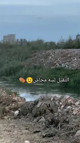 @نظريه⚡🦅 