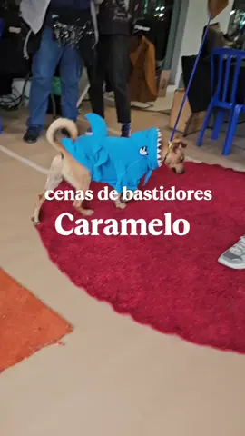 estreiou hoje dia 08 na Netflix esse filme mega fofo que eu fiz o figurino 