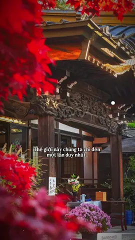 #CapCut Thế giới này chúng ta chỉ đến một lần duy nhất . Trăm năm sau không có bạn cũng chẳng có tôi , nên bây giờ hãy cùng nhau trân quý nó nhé .. #trambuon #nhachaymoingay #tâmtrạng #ảnh 