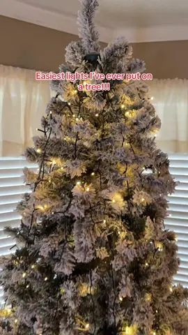 #christmastreelights #christmastree #christmaslights 