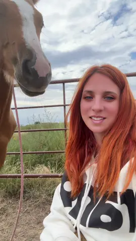 #aqha #colt #untouched 