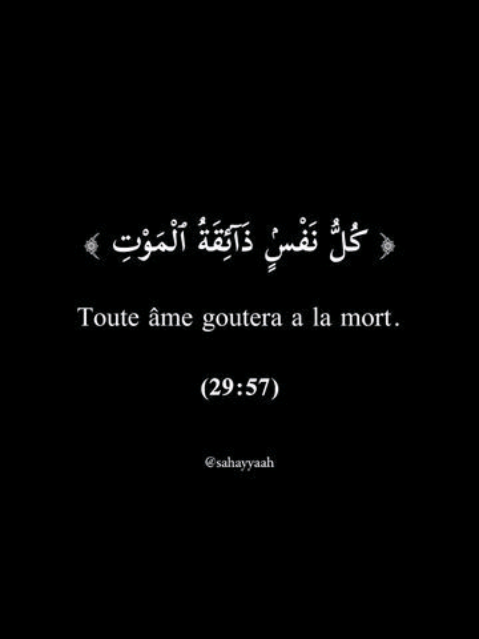 صوت متميز وعذوبة أخاذة وأداء يخطف الألباب تلاوة قسما بالله أنها نسخ لصق من حلاوة ونبرة الشيخ ياسر الدوسري - حفظه الله - تشابه مذهل ماشاءالله 😍🤍@محمد ممدوح  القارئ @محمد ممدوح  #محمد_ممدوح #ياسر_الدوسري #قران #موهبة #قران_كريم 