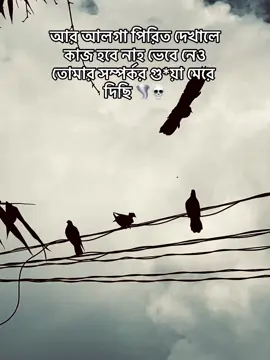 #আর আলগা পিরিত দেখালে কাজ হবে নাহ ভেবে নেও তোমার সম্পর্কর গু*য়া মেরে দিছি 🌪️💀#plzunfrezemyaccount #500kviews #100k #flypシ 