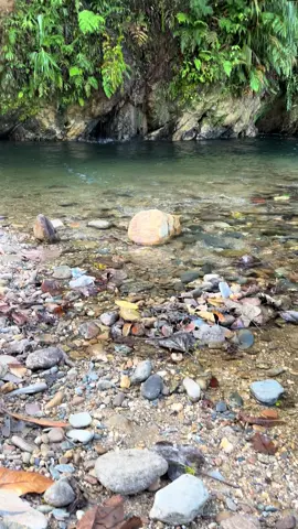 🍃💦O₂