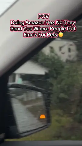 Like bruhhhh 😭 They wud never get a package from me 🫠 #amazonflexdriver #amazonflex #sidehustle #deliverydriver #emus 