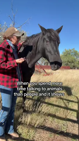 Bless ‘em, they don’t judge 😆 #ranchlife #montana #farmanimals #horses #funnyvideos 