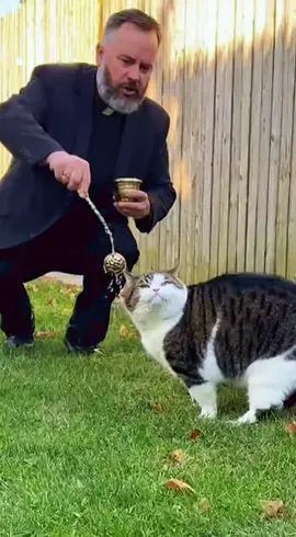 Did it work? #cats #catsoftiktok #funny #holywater #ai 